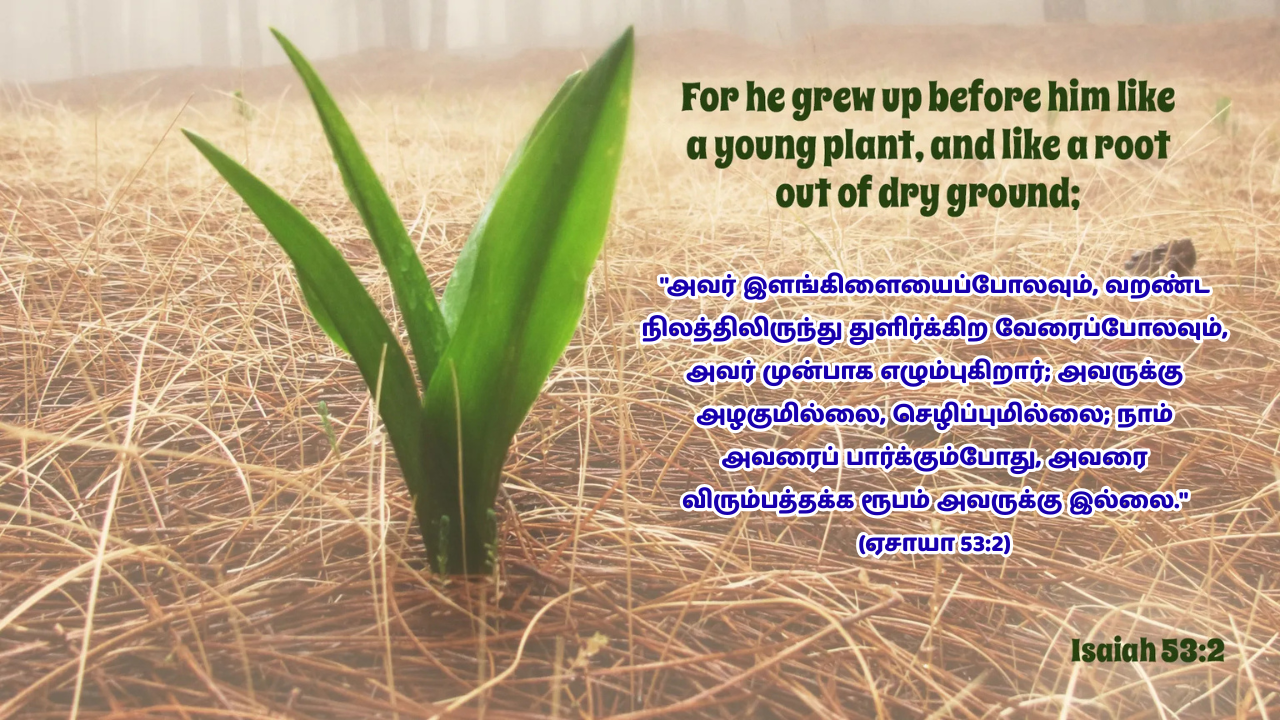 ஏசாயா 53:2 – சிலுவை மைய தின தியானம்